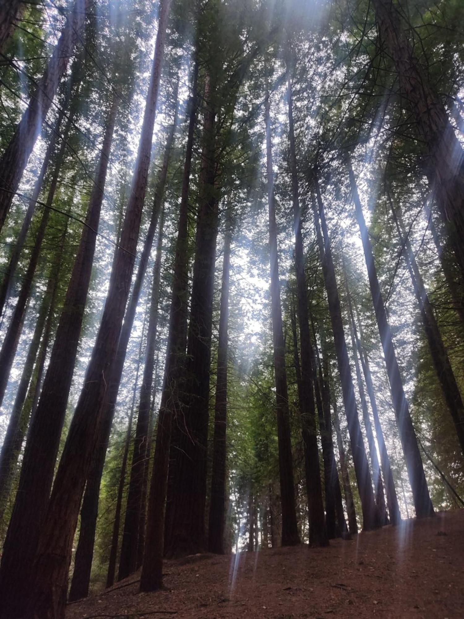 Naturaleza Playas Y Montanas 卡韦松·德·拉·萨尔 外观 照片